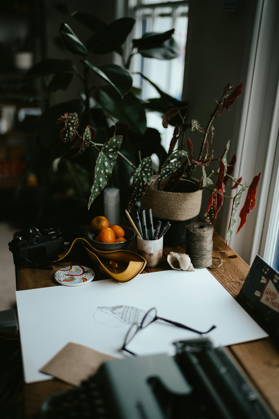 Scrivania con piante, macchina fotografica vintage, mandarini e disegno.